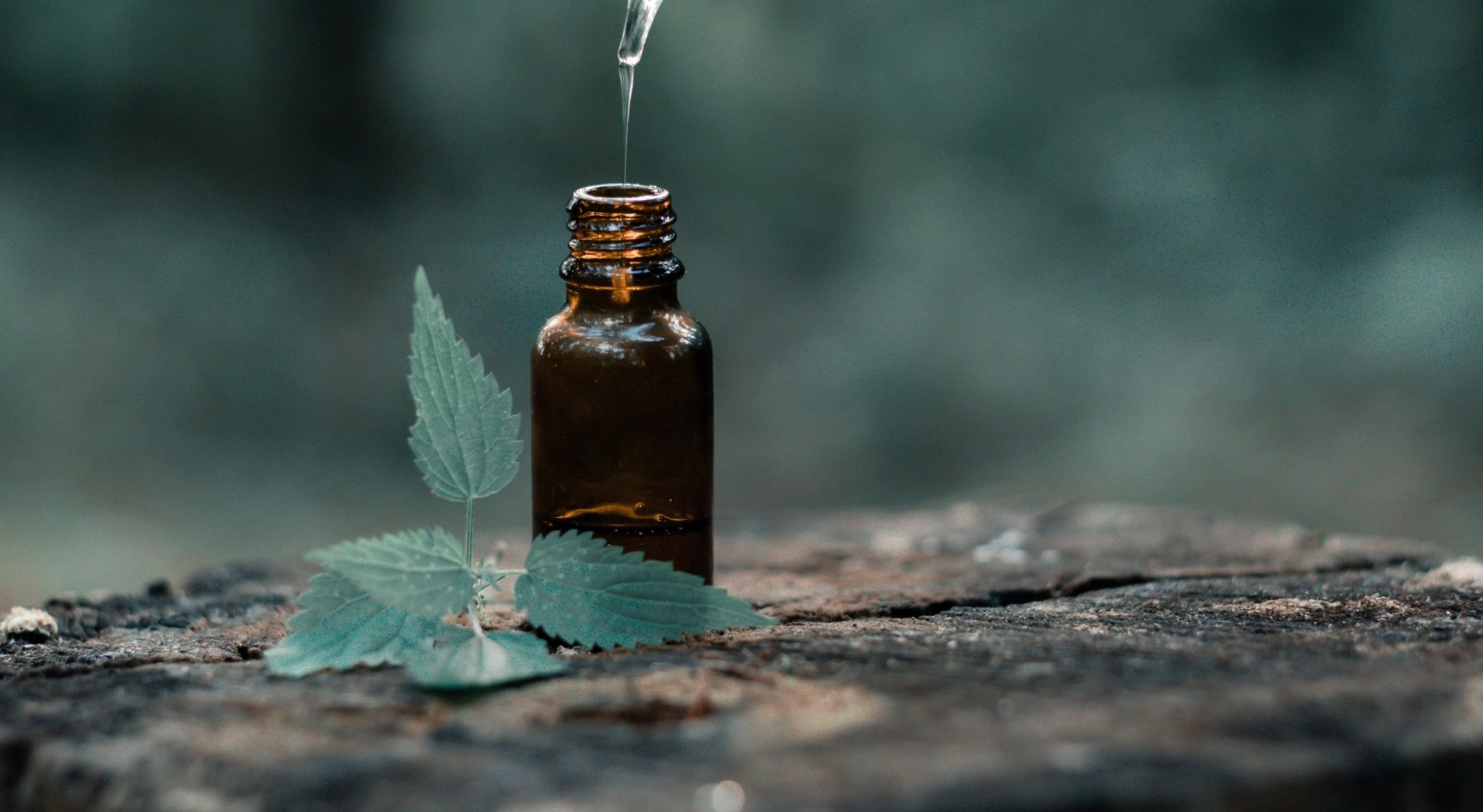 Debunking Common Misconceptions About Essential Oils