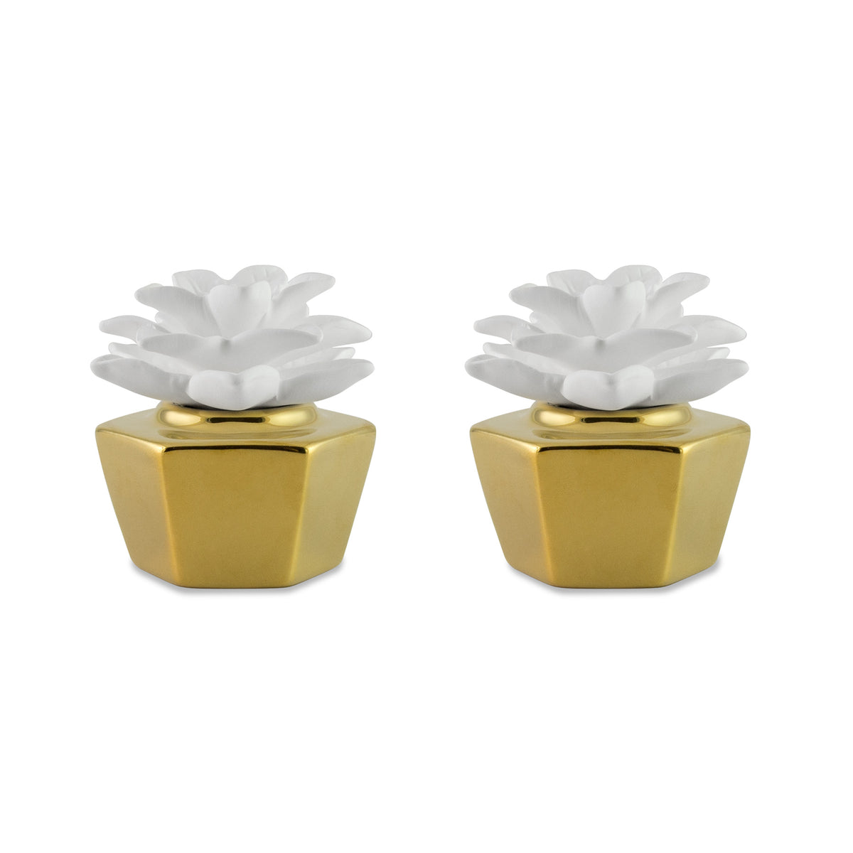Elegance Gold Clay Diffuser Set of 2