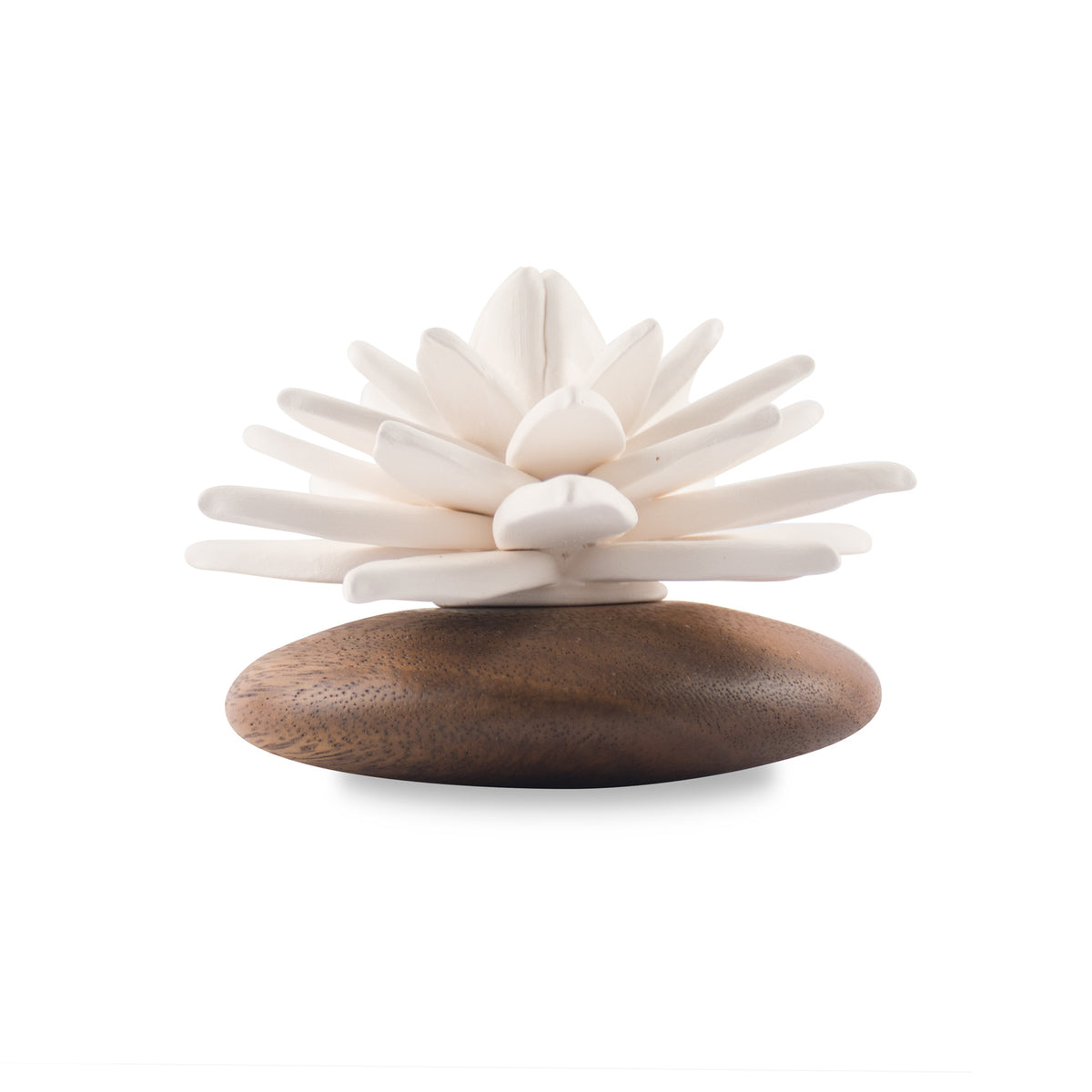 Succulent Diffuser Scenting Clay Water Lily