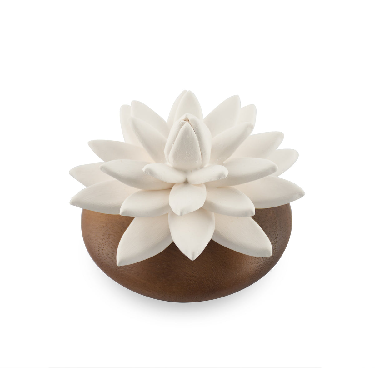 Succulent Diffuser Scenting Clay Water Lily