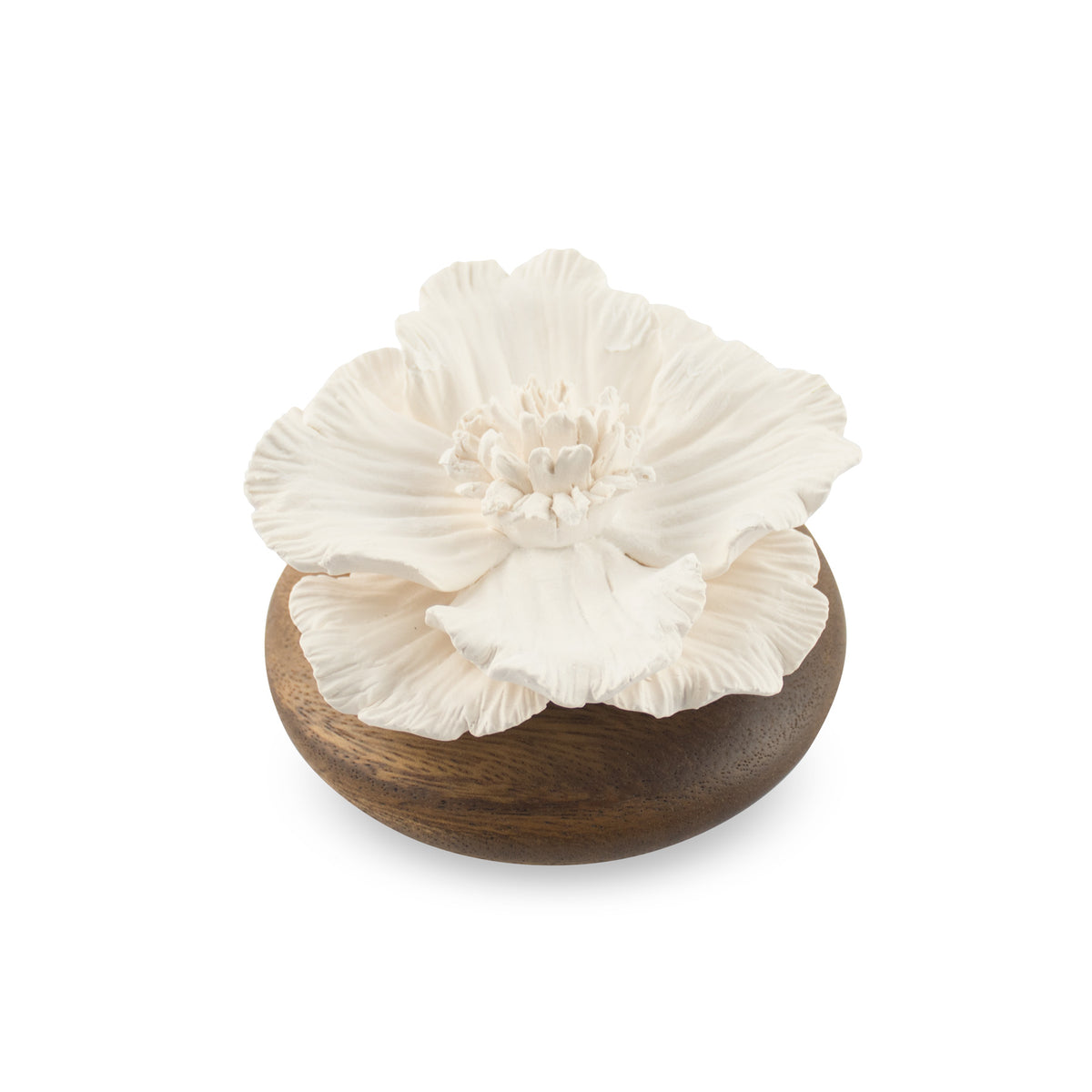 Anemone Flower Scenting Clay Diffuser (Short Bouquet)