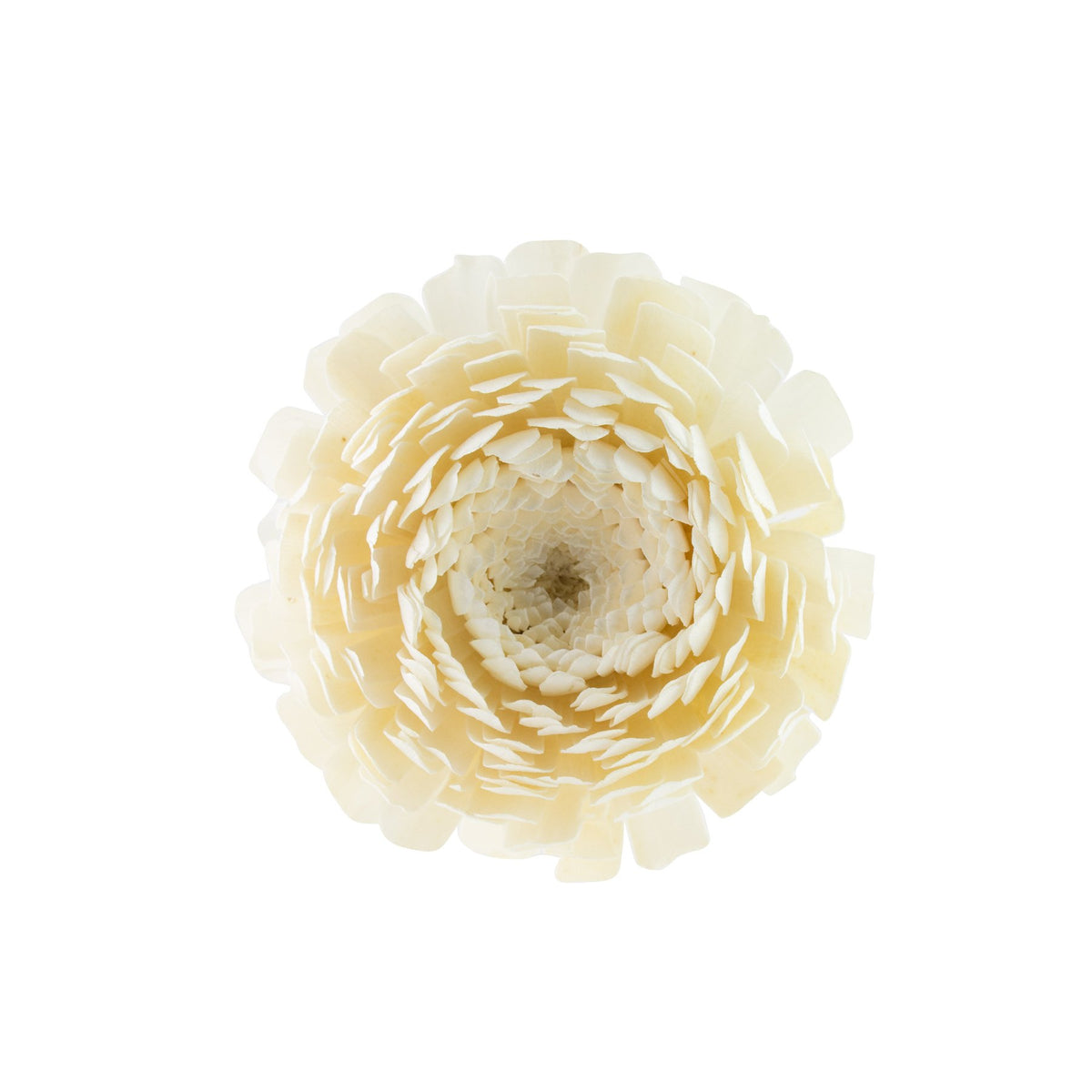 Solar Flower Diffuser Refill - Chrysanthemum